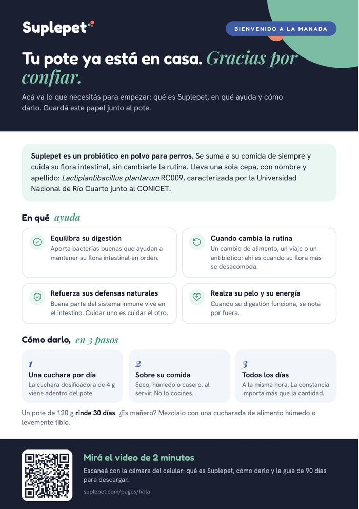 Vista previa: Flyer de bienvenida