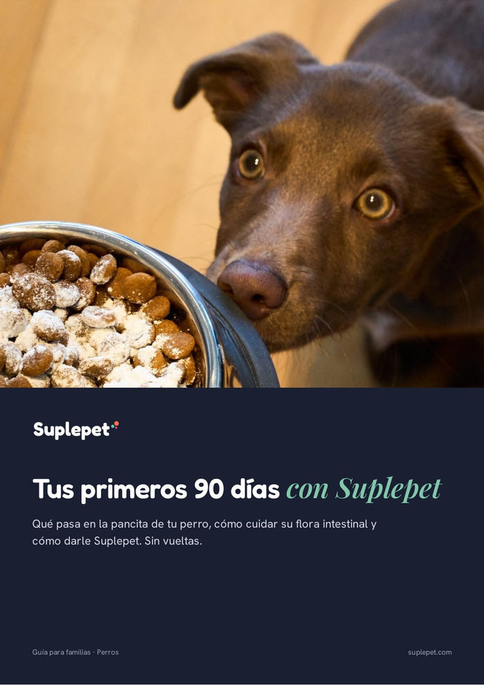 Vista previa: Guía: tus primeros 90 días con Suplepet