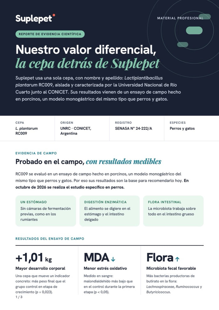 Vista previa: Reporte de evidencia: la cepa RC009