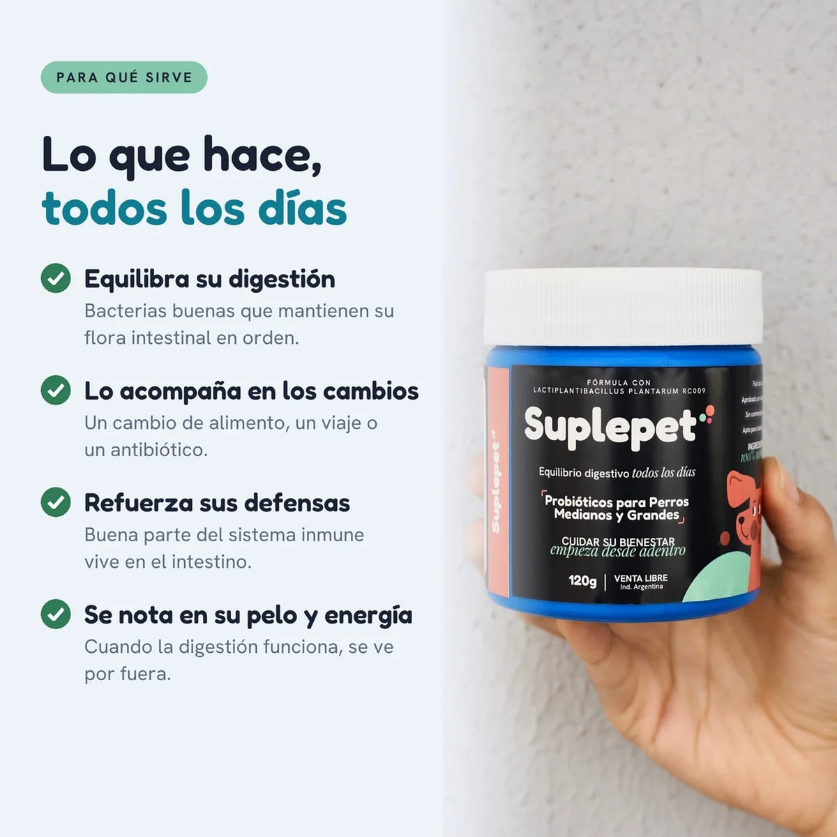 Lo que hace Suplepet todos los días: equilibra la digestión, acompaña los cambios de alimento, refuerza las defensas y se nota en el pelo y la energía