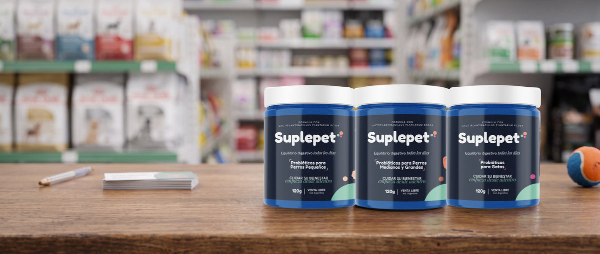 Los tres potes de Suplepet sobre el mostrador de un pet shop